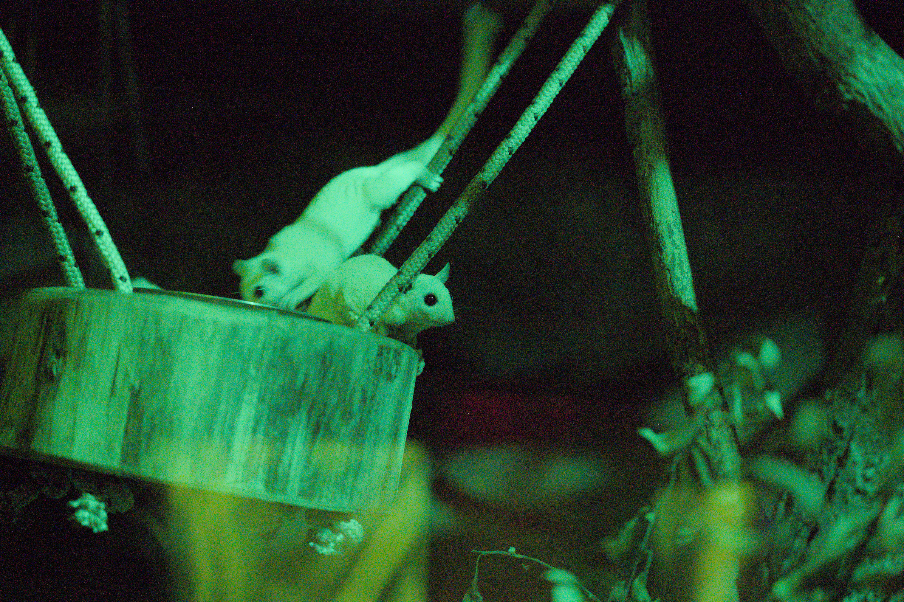 2025/10/12 - zoo/DSC_0265.jpg